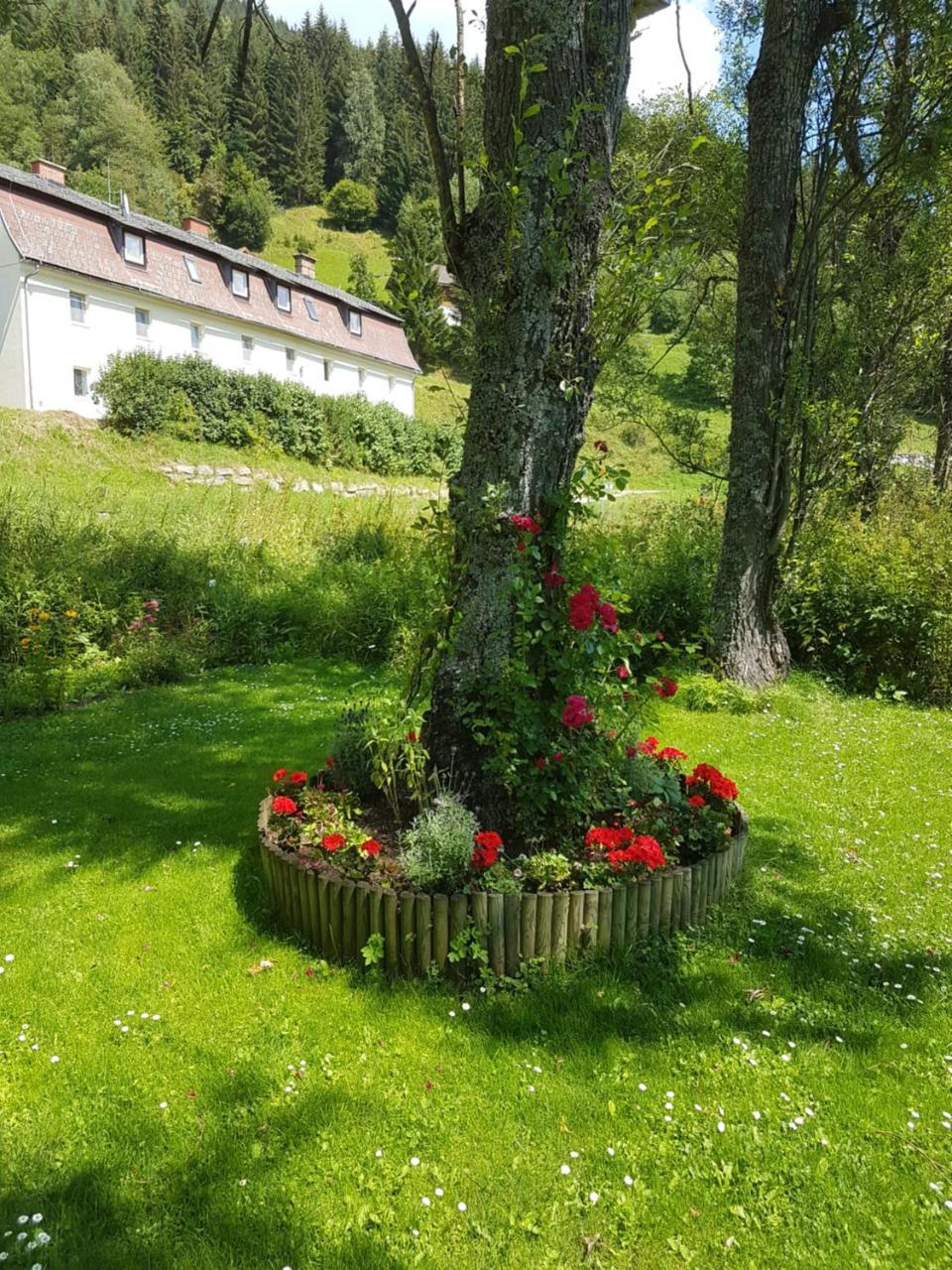 Riverside Ski Apartment Ramingstein 外观 照片