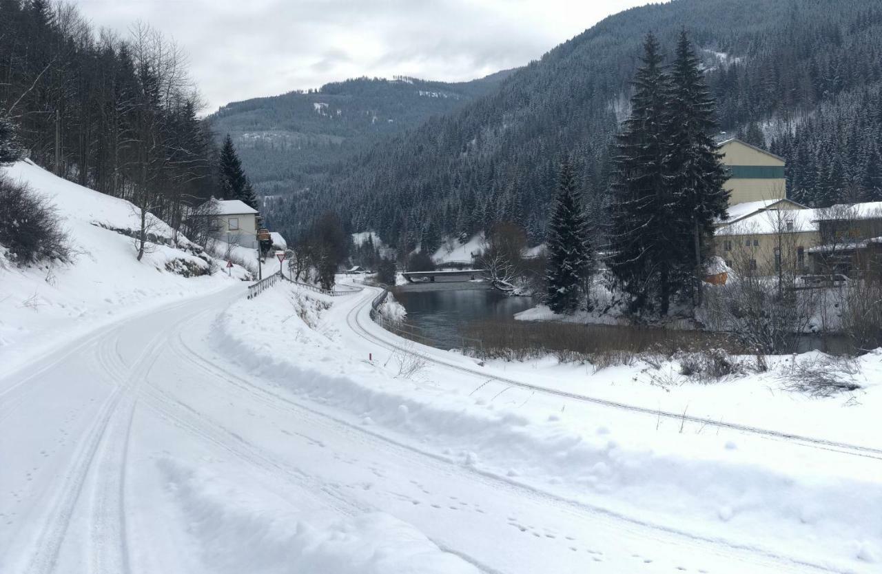 Riverside Ski Apartment Ramingstein 外观 照片
